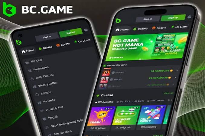 Experience the Thrill of Gambling with BC.Game Crypto Casino